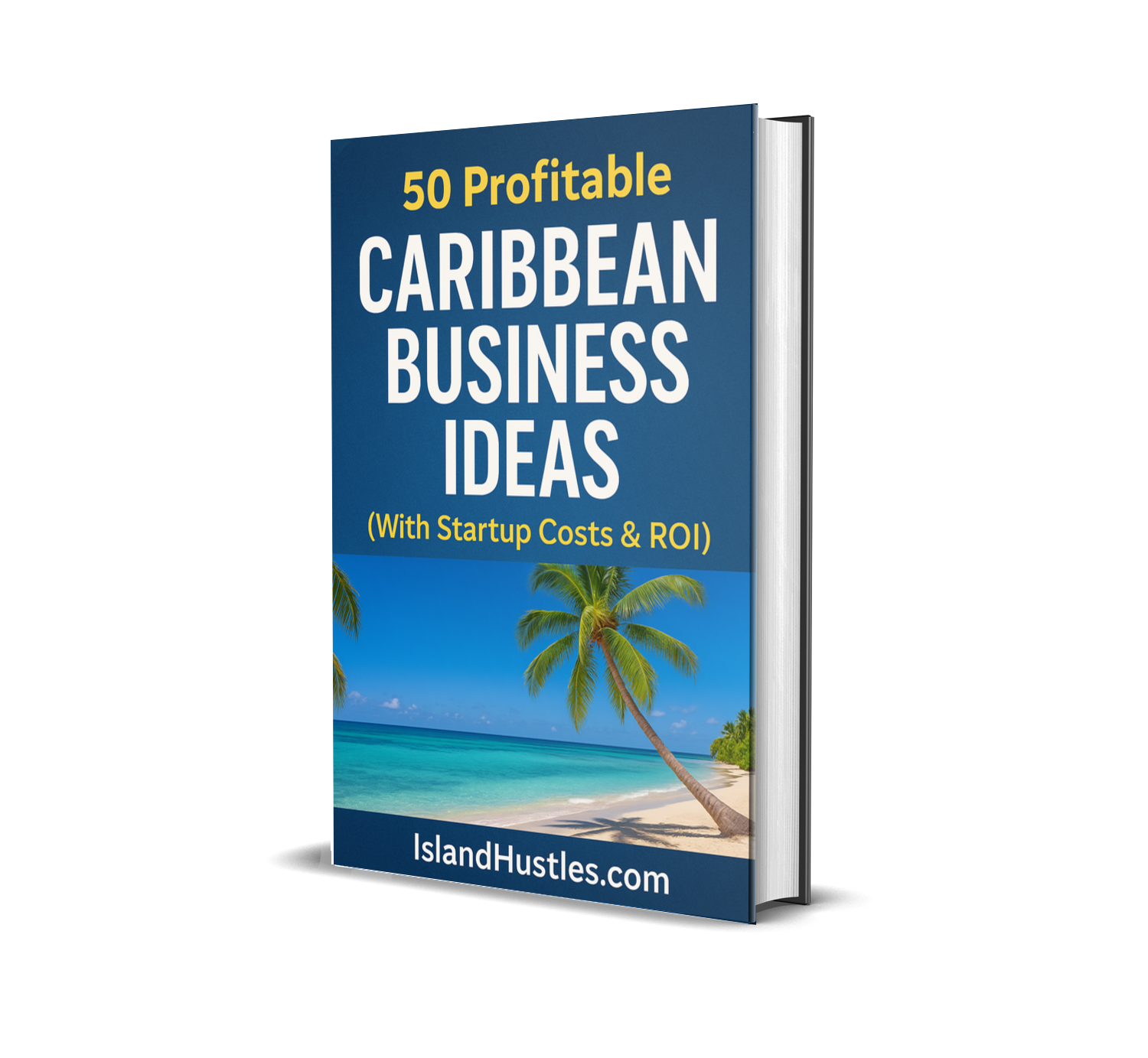 50 Profitable Caribbean Business Ideas
